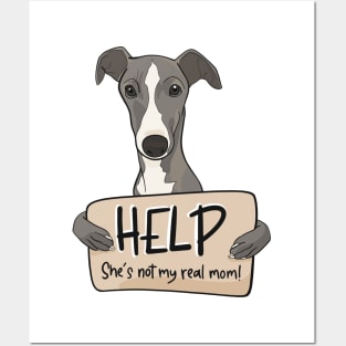 Funny dog design for Greyhound moms; Help, she's not my real mom Posters and Art